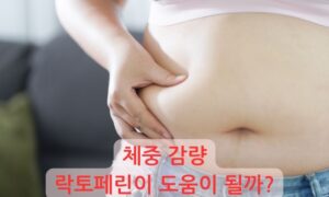 체중감량,비만