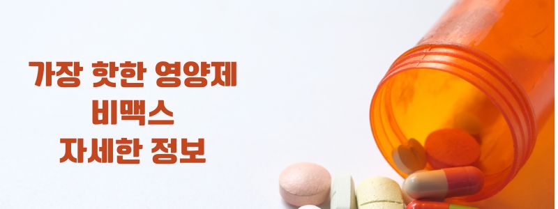 비맥스 영양제