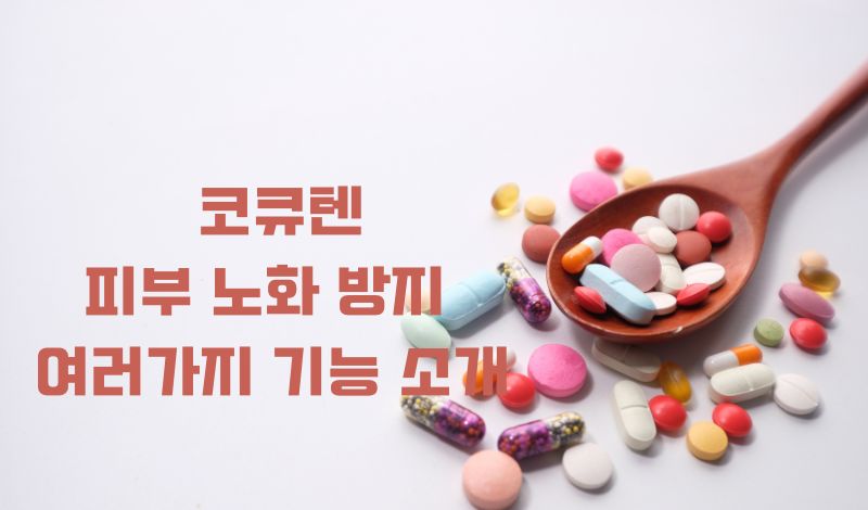 코큐텐 피부 노화 방지 기능